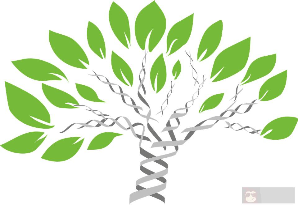 比较两个排序好的文件的方法—— comm