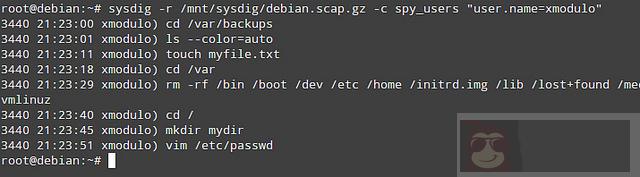 Linux 服务器监控和排障利器 -sysdig
