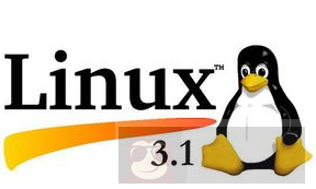 Linux 内核模块
