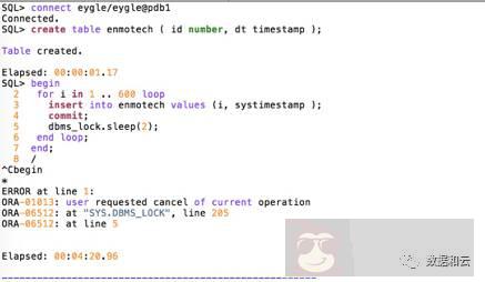 解读 Oracle12.2 体系架构：Filesystem 与 Multitenant