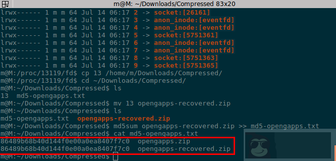 妈妈再也不用担心在 Linux 中误删除文件了