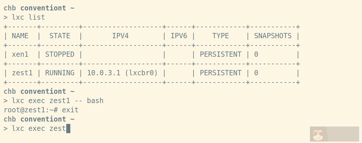 lxc exec 的魅力特征