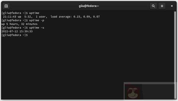 Linux 服务器的运行时间检查技巧
