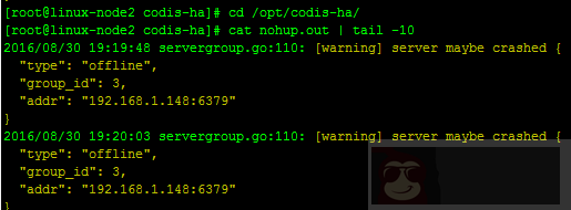 实战 Centos 系统部署 Codis 集群服务