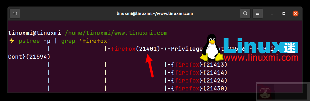 在 Linux 中如何查找父进程 PPID？