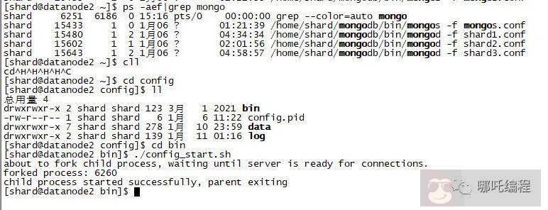如何监控 MongoDB 数据库性能 如何监控 MongoDB 数据库性能