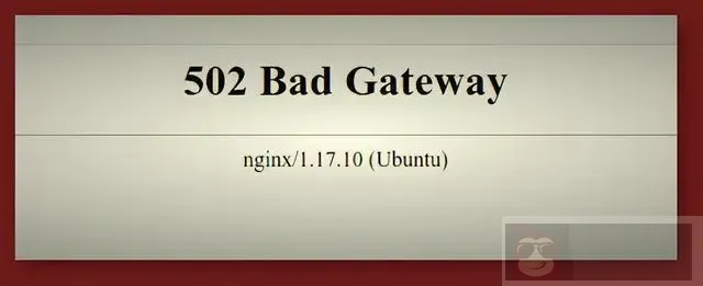 在 Linux 和 Unix 上隐藏 Nginx 版本