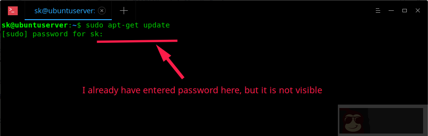 让你在终端输入密码时显示星号