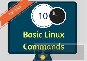 Linux 新手应掌握的 10 个基本命令 Linux 新手应掌握的 10 个基本命令