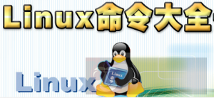 linux 入门必学文件处理命令