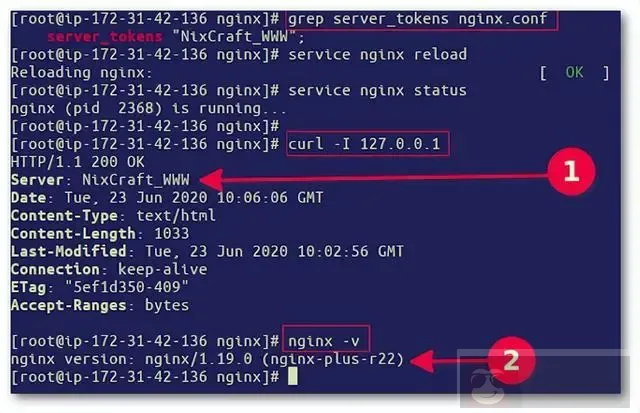 在 Linux 和 Unix 上隐藏 Nginx 版本
