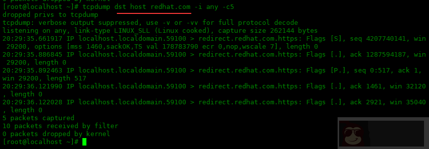 tcpdump 命令的常用选项：二