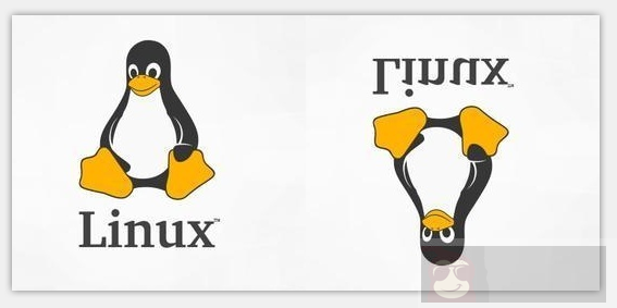 在 Linux 中使用 ImageMagick 命令行操作图像文件 在 Linux 中使用 ImageMagick 命令行操作图像文件