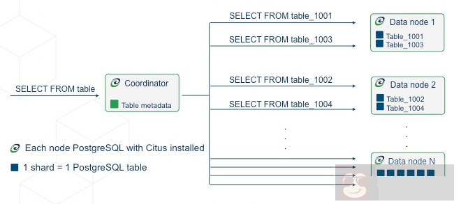 分布式 PostgreSQL 之 Citus