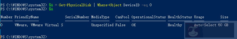 如何使用 PowerShell 获取物理磁盘的信息