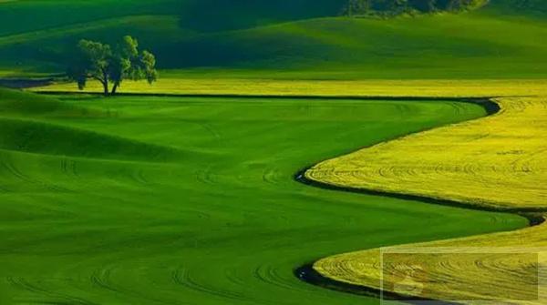 还用 foreach 在 MyBatis 批量插入数据，服务器还没崩？