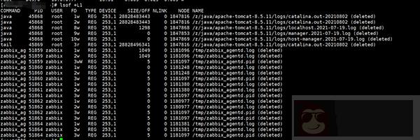 Linux 根分区快满了，这个方法快速定位！