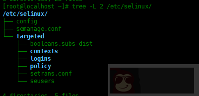 使用 sestatus 命令来查看 SELinux 的当前状态