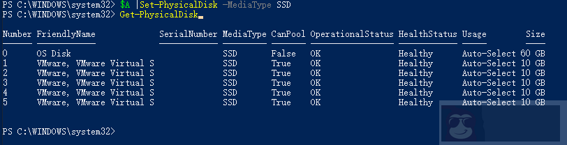 如何使用 PowerShell 获取物理磁盘的信息