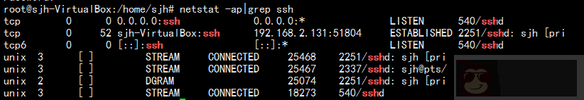 聊聊 linux 查看服务和端口状态命令 netstat