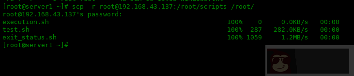 scp 命令使用方法