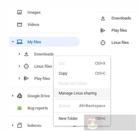 使用 Linux 上的 Chromebook