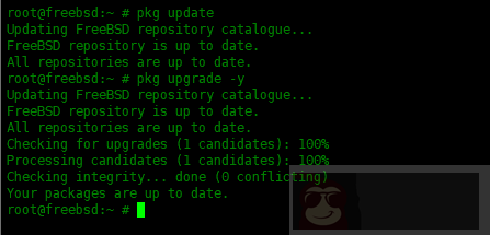 在 FreeBSD 中 pkg 包管理器使用实例
