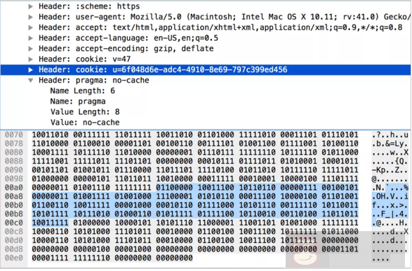 揭秘 HTTP/2 头部压缩技术 揭秘 HTTP/2 头部压缩技术