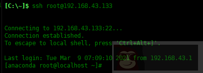 Centos8 如何在 Rescue 模式下配置网络和 SSH 登录