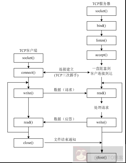 Python 关于 TCP 简介以及与 UDP 的区别