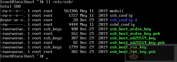 Centos8 中恢复根目录为默认权限