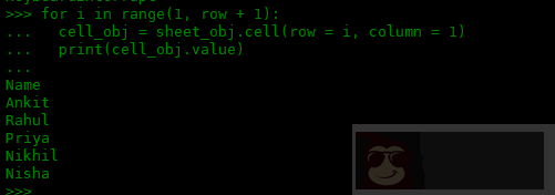 使用 openpyxl 处理表格数据 使用 openpyxl 处理表格数据