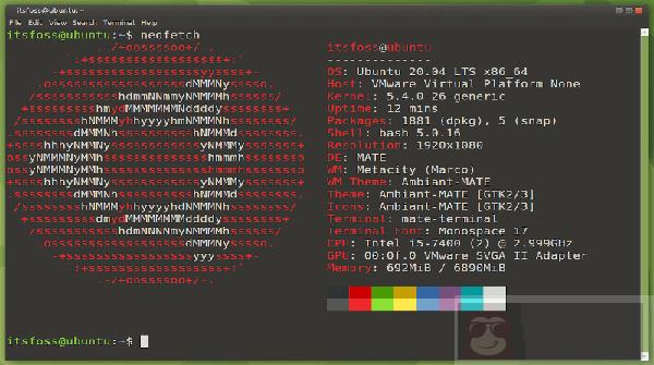 Linux 终端上如何将图像转换成 ASCII 艺术