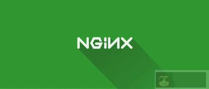 nginx 反向代理获取客户端的真实 IP 和域名