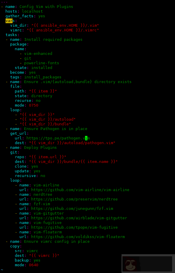 如何使用 Ansible 配置 Vim 并安装插件 如何使用 Ansible 配置 Vim 并安装插件
