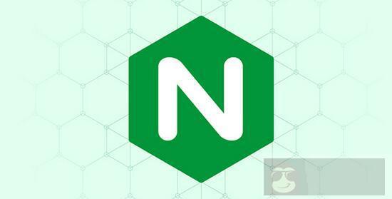 使用 Nginx 搭建前端静态服务器 + 文件服务器 使用 Nginx 搭建前端静态服务器 + 文件服务器