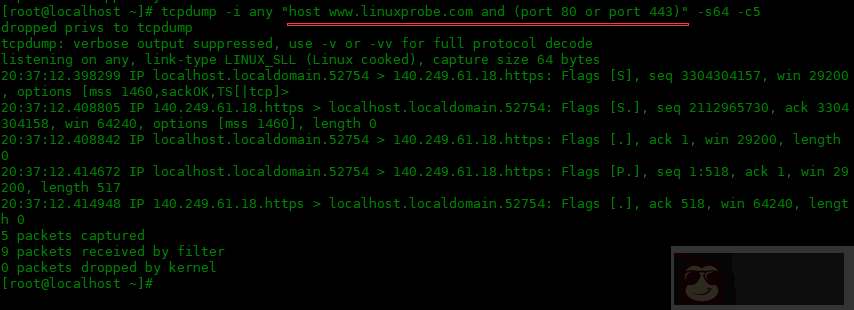 tcpdump 命令的常用选项：二