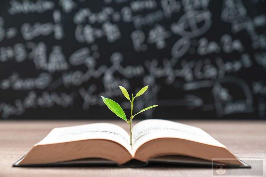 实现深拷贝最少得用几行代码? 实现深拷贝最少得用几行代码?