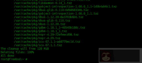 在 FreeBSD 中 pkg 包管理器使用实例
