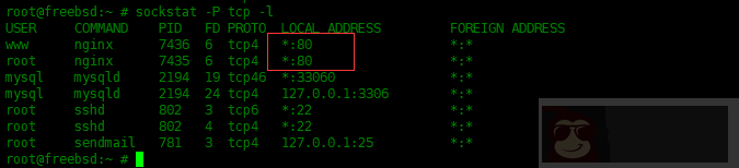 如何在 FreeBSD 中安装 Nginx,MySQL,PHP(FEMP)