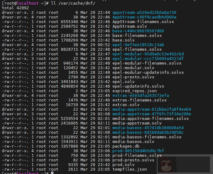 CentOS 8 中 dnf 管理器如何仅下载不安装软件 CentOS 8 中 dnf 管理器如何仅下载不安装软件