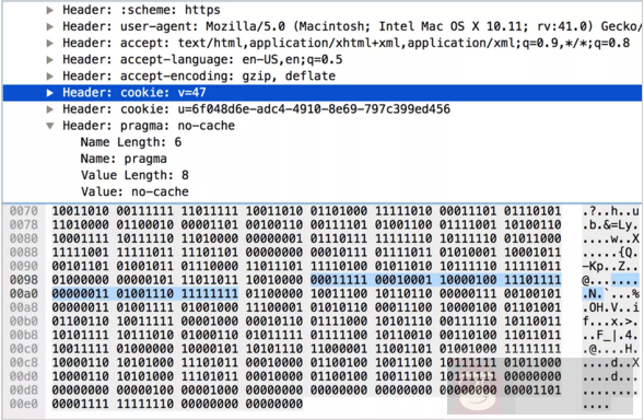 揭秘 HTTP/2 头部压缩技术 揭秘 HTTP/2 头部压缩技术