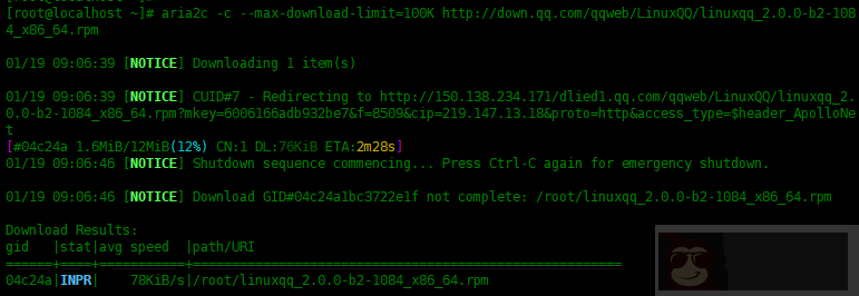 Linux 中如何使用 Aria2 下载文件