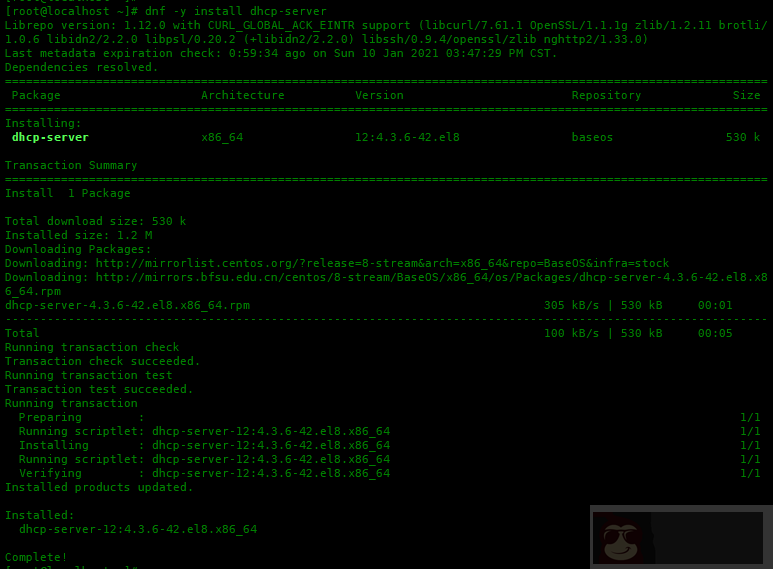 Centos8 如何配置 DHCP 服务器