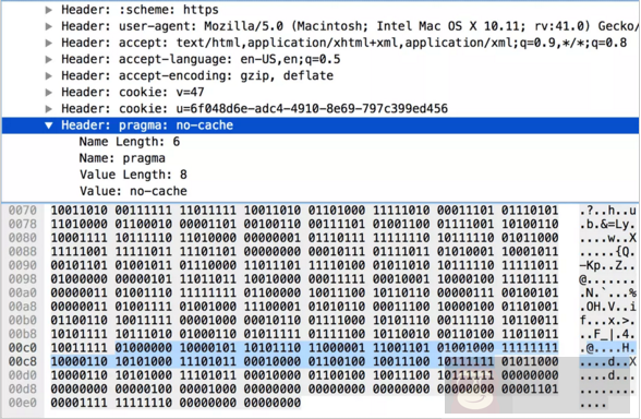 揭秘 HTTP/2 头部压缩技术 揭秘 HTTP/2 头部压缩技术