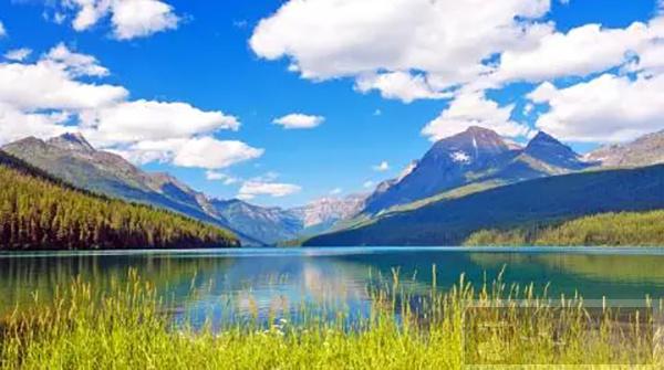 编程中 new[] 和 delete[] 应该如何使用？