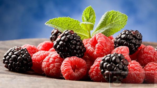 如何使用 Cockpit 管理你的树莓派