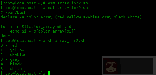 如何在 bash 中使用索引数组 如何在 bash 中使用索引数组