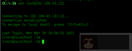 Centos8 中恢复根目录为默认权限