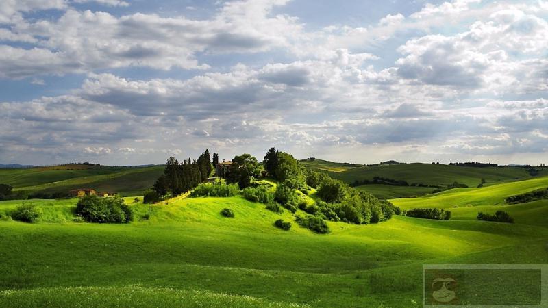 在 Linux 中如何使用命令行管理文件 在 Linux 中如何使用命令行管理文件